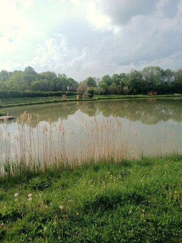 Eladó mezogazdasagi ingatlan, Pécsváradon 140 M Ft