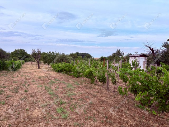 Eladó telek, Monoron 37.99 M Ft / költözzbe.hu