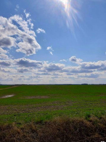 Eladó mezogazdasagi ingatlan, Taktakenézen 3.2 M Ft