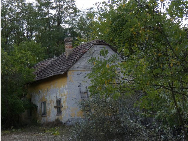 Eladó mezogazdasagi ingatlan, Mórahalmon 6 M Ft
