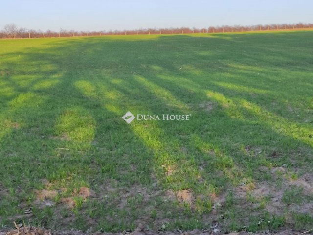 Eladó telek, Gárdonyban 12 M Ft / költözzbe.hu