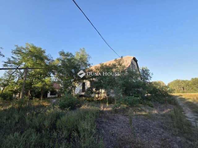 Eladó mezogazdasagi ingatlan, Kisteleken 10.59 M Ft, 5 szobás