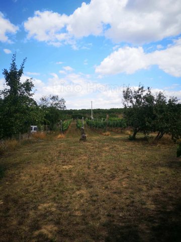 Eladó mezogazdasagi ingatlan, Látrányon 4.9 M Ft