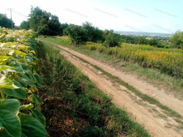 Eladó mezogazdasagi ingatlan, Igalon 2.99 M Ft