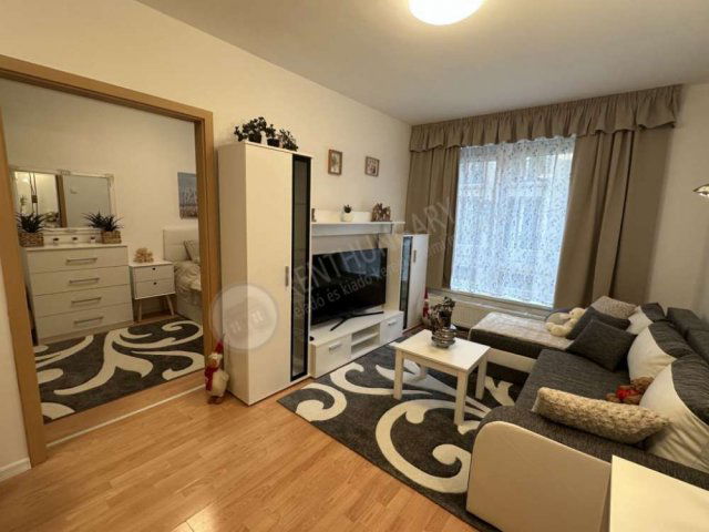 Kiadó téglalakás, albérlet, VIII. kerületben, Tolnai Lajos utcában