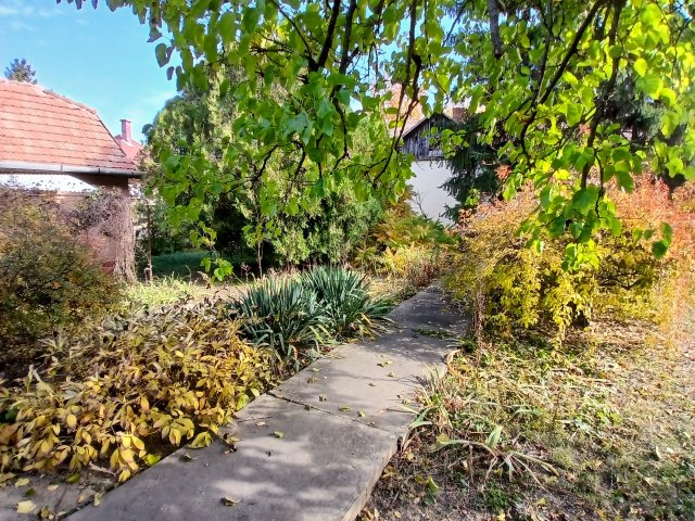 Eladó telek, Hajdúszoboszlón 46.9 M Ft / költözzbe.hu