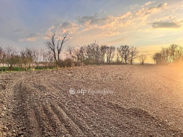 Eladó telek, Vadosfán 9 M Ft / költözzbe.hu
