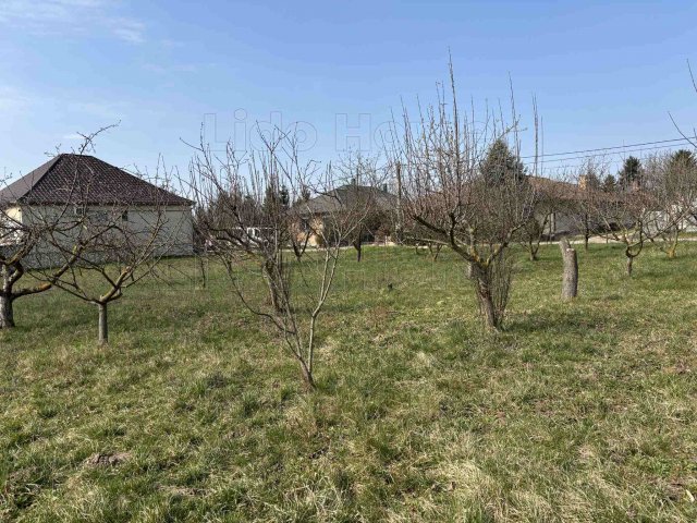 Eladó telek, Téten 15 M Ft / költözzbe.hu