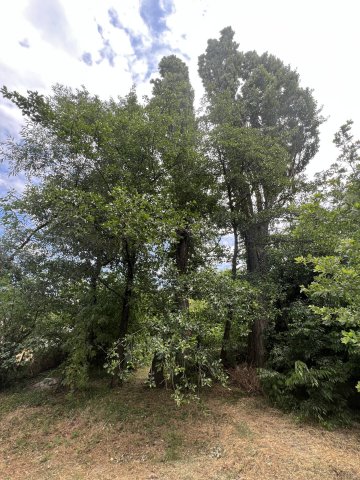 Eladó telek, Domonyban 139.999 M Ft / költözzbe.hu