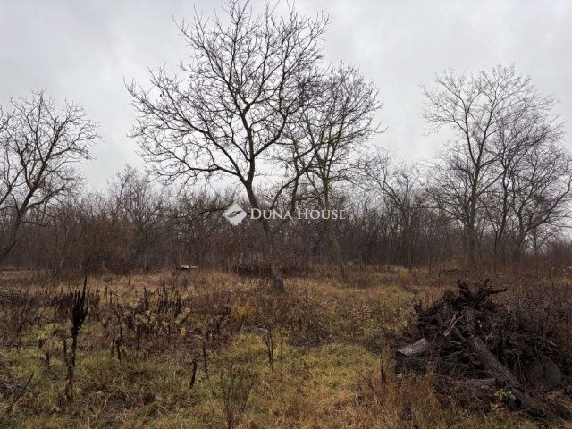 Eladó telek, Őrbottyánban 21 M Ft / költözzbe.hu