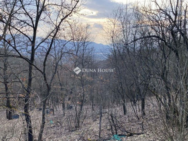 Eladó telek, Verőcén 59.9 M Ft / költözzbe.hu