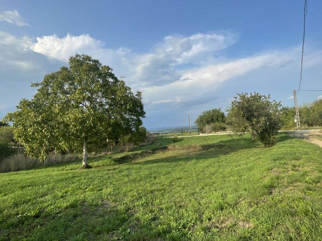 Eladó mezogazdasagi ingatlan, Tatán 14.9 M Ft