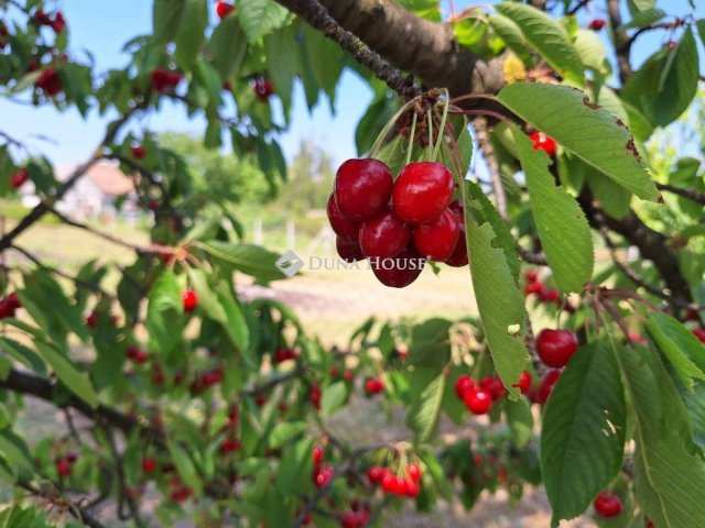 Eladó családi ház, Bicskén 19.5 M Ft, 3 szobás