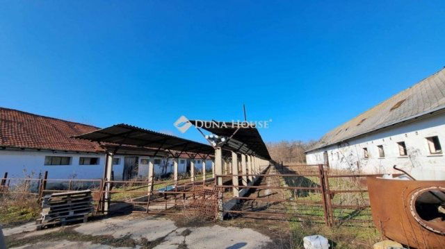 Eladó mezogazdasagi ingatlan, Hódmezővásárhelyen 59.9 M Ft