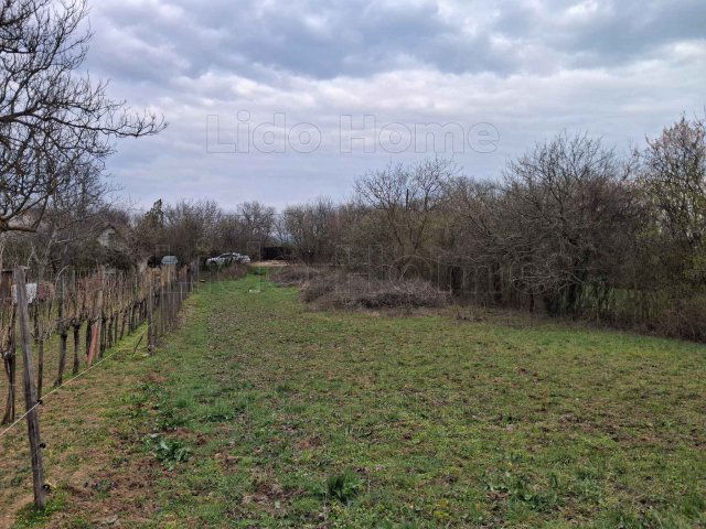 Eladó mezogazdasagi ingatlan, Balatonalmádiban 15 M Ft