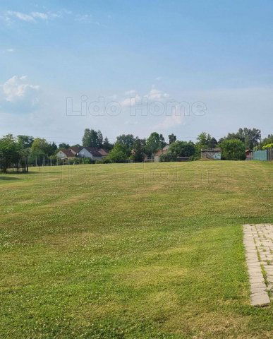 Eladó telek, Zamárdiban 15 M Ft / költözzbe.hu