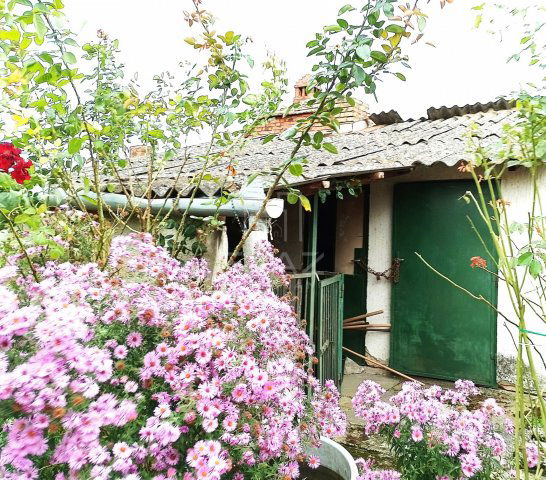 Eladó családi ház, Sásdon 26.5 M Ft, 5 szobás