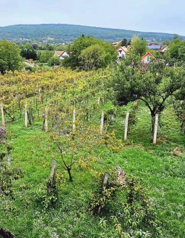 Eladó családi ház, Csopakon 68 M Ft, 3+2 szobás