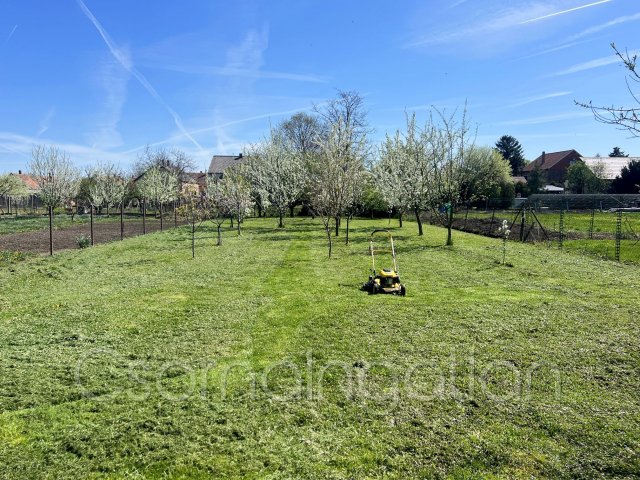 Eladó családi ház, Csornán 20 M Ft, 1 szobás