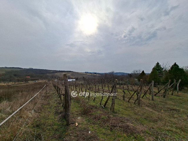 Eladó telek, Lovasberényben 11.9 M Ft / költözzbe.hu