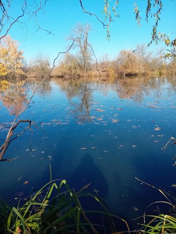 Eladó telek, Mezőtúron 16.9 M Ft / költözzbe.hu