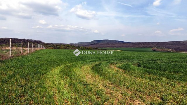 Eladó telek, Csabdiban 36.9 M Ft / költözzbe.hu
