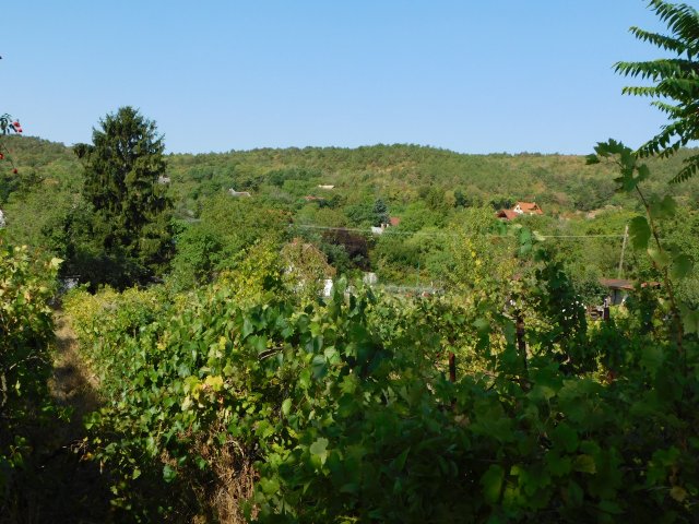 Eladó nyaraló, Balatongyörökön 24.5 M Ft, 1 szobás