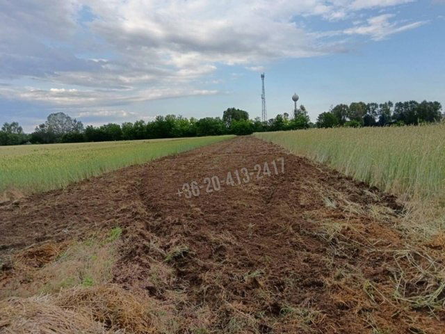 Eladó telek, Albertirsán, Dánosi közben 1.5 M Ft