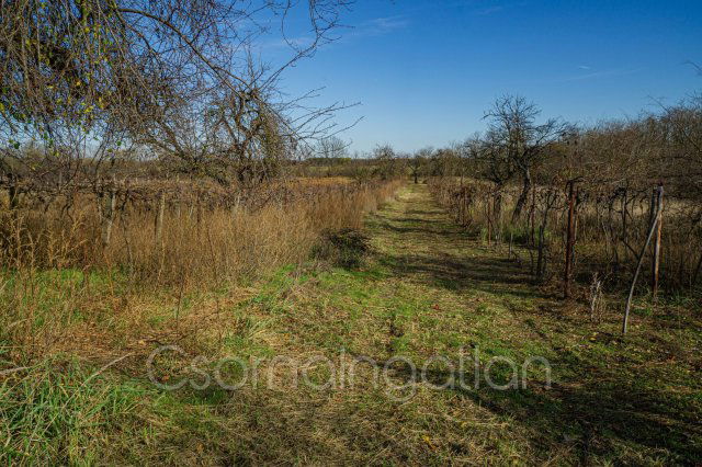 Eladó telek, Mórichidán 5 M Ft / költözzbe.hu