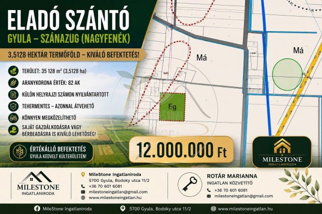 Eladó mezogazdasagi ingatlan, Gyulán 12 M Ft