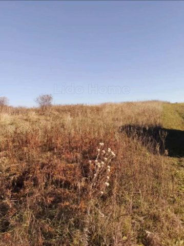 Eladó mezogazdasagi ingatlan, Igalon 1.99 M Ft