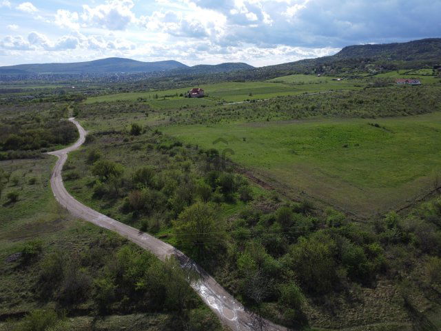 Eladó mezogazdasagi ingatlan, Szentendrén 5.5 M Ft
