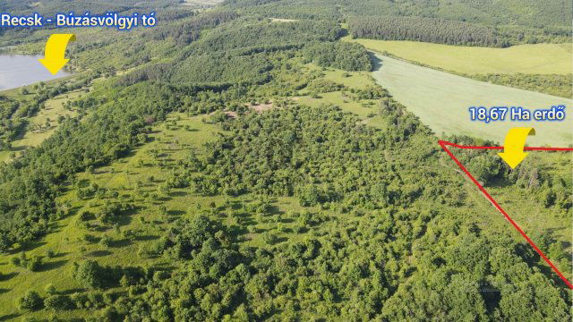 Eladó mezogazdasagi ingatlan, Sirokban 28 M Ft