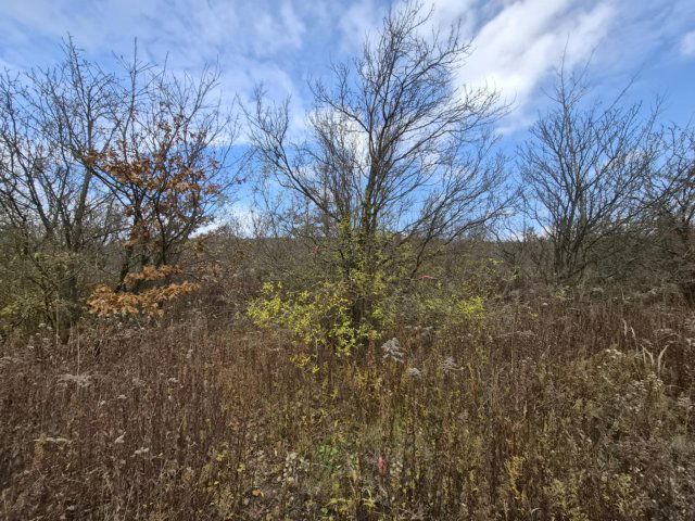 Eladó telek, Nagykovácsiban 34.5 M Ft / költözzbe.hu