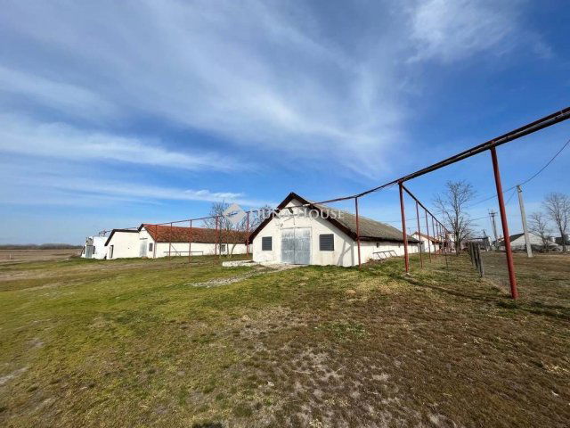 Eladó mezogazdasagi ingatlan, Szankon 65 M Ft, 1 szobás