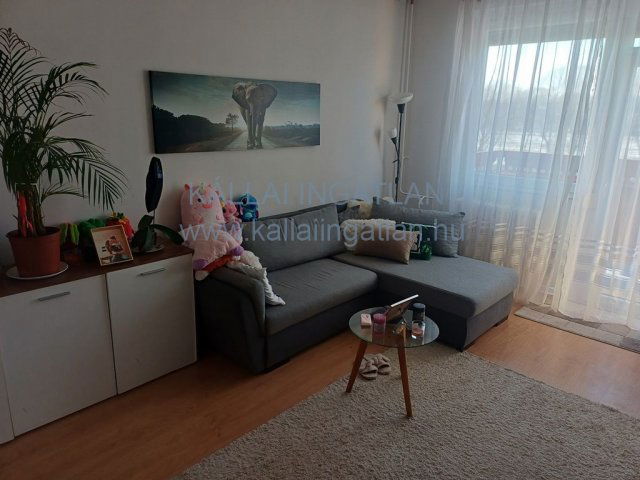 Eladó panellakás, Nyíregyházán 34.9 M Ft, 1+1 szobás