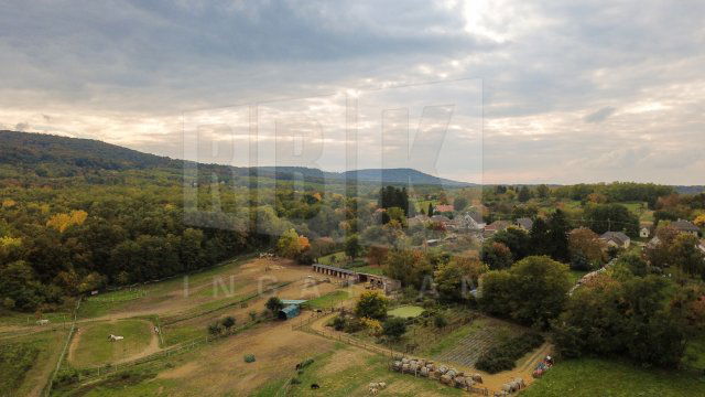 Eladó családi ház, Sümegcsehin 135 M Ft, 6 szobás