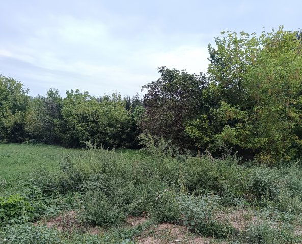 Eladó telek, Tiszadadán, Vízmű utcában 0.95 M Ft