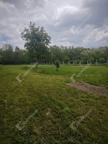 Eladó telek, Téten 12.5 M Ft / költözzbe.hu
