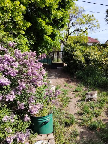 Eladó telek, Budapesten, XXII. kerületben, Árpád utcában