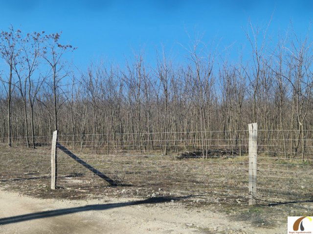 Eladó telek, Dabason 14.9 M Ft / költözzbe.hu