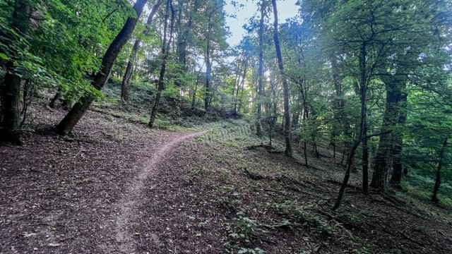 Eladó telek, Kismaroson, Fű utcában 3.6 M Ft