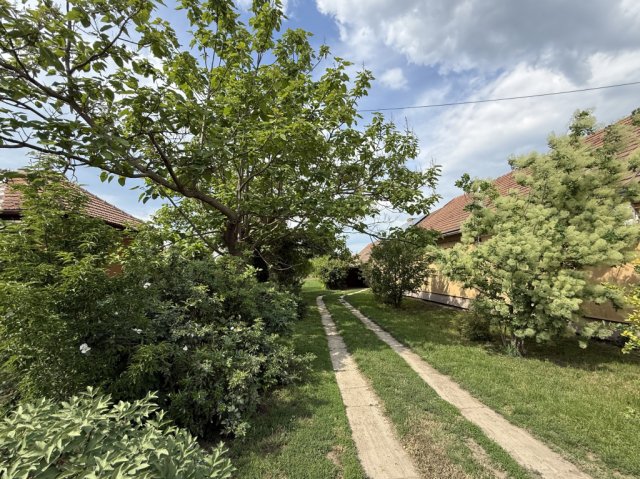 Eladó családi ház, Mezőberényben 45 M Ft, 3 szobás