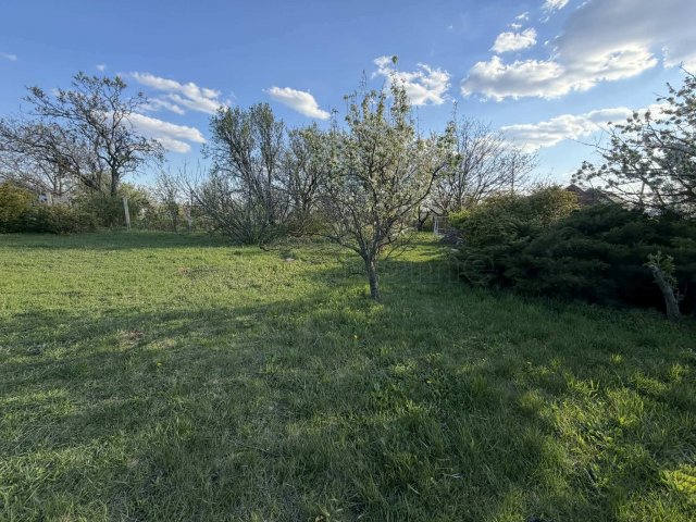 Eladó mezogazdasagi ingatlan, Várpalotán 14.9 M Ft