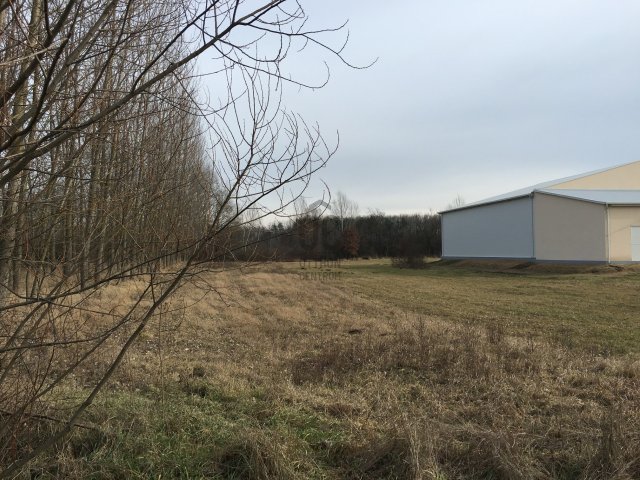 Eladó mezogazdasagi ingatlan, Tégláson 29.9 M Ft