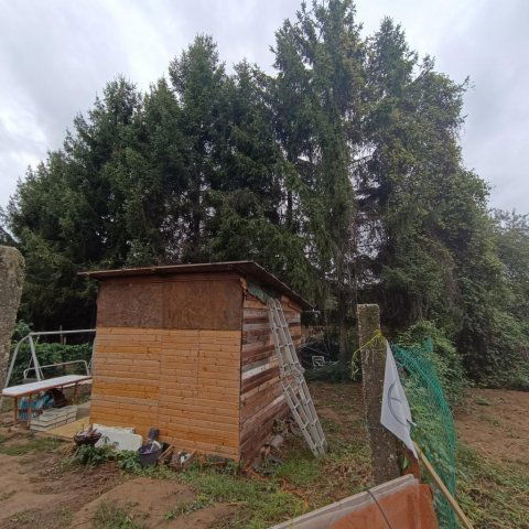 Eladó telek, Nagybakónakon 3.5 M Ft / költözzbe.hu