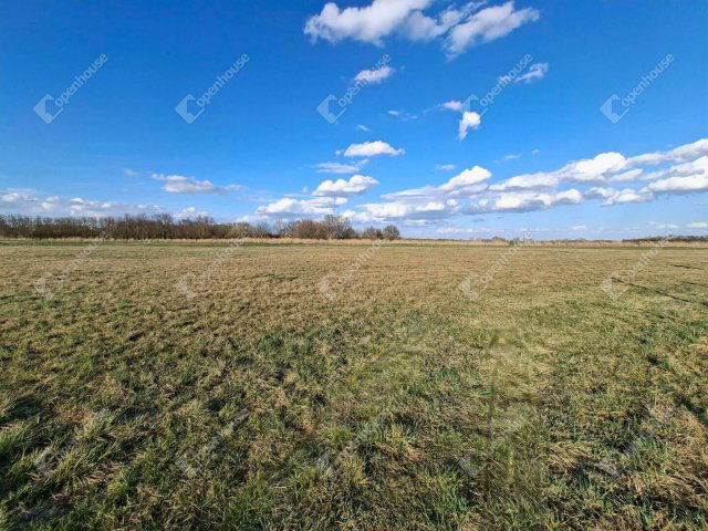 Eladó mezogazdasagi ingatlan, Ebergőcön 5.9 M Ft