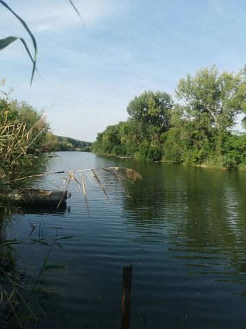 Eladó nyaraló, Gyomaendrődön 19.9 M Ft, 1 szobás