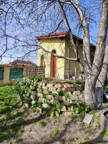 Eladó telek, Gyömrőn 119.9 M Ft / költözzbe.hu