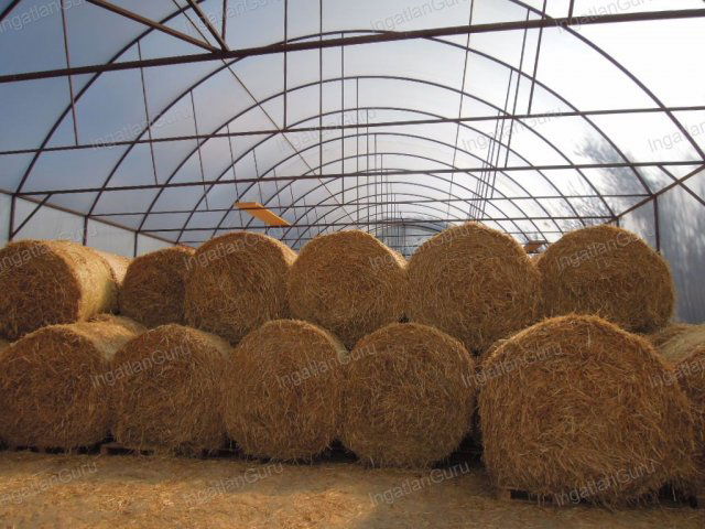 Eladó mezogazdasagi ingatlan, Lajosmizsén 307.5 M Ft